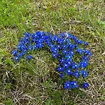 בית נופש Tanas Almhuette Flattnitz