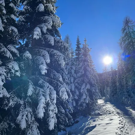 Tanas Almhuette Farm stay Flattnitz
