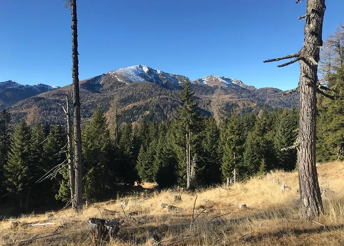 Tanas Almhütte Ferienhaus Flattnitz
