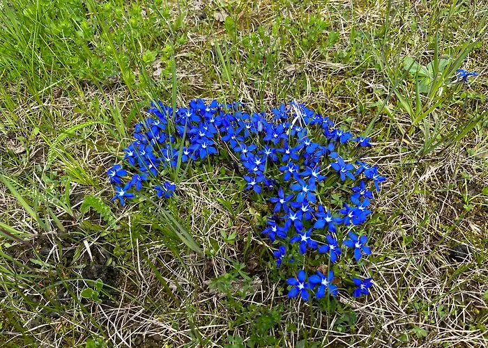 Ferienhaus Tanas Almhütte Flattnitz