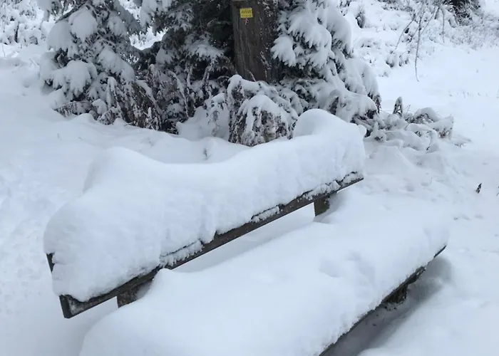 Tanas Almhütte * Flattnitz