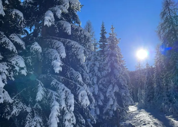 Tanas Almhütte Сasa de vacaciones Flattnitz