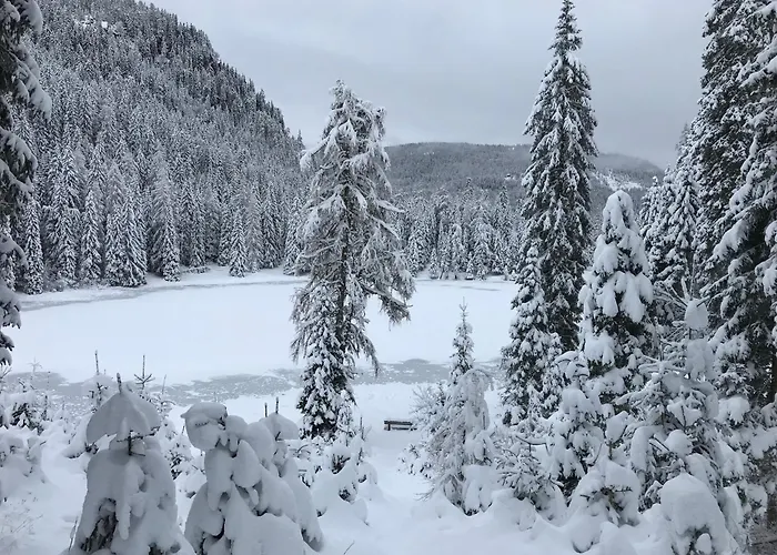 Tanas Almhütte Сasa de vacaciones *